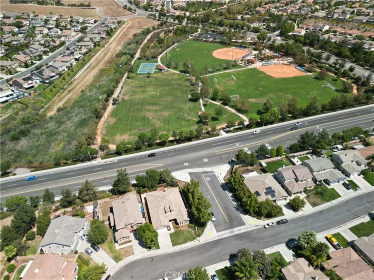 30580 Fox Sedge photo 38