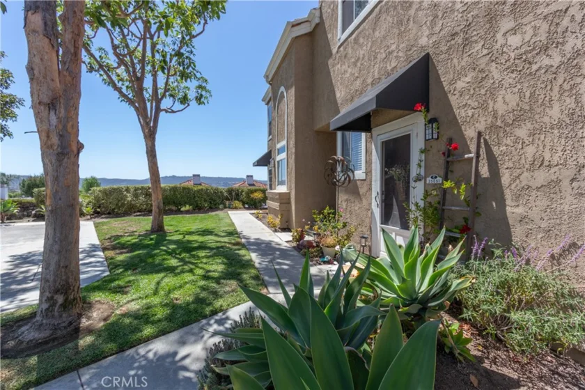 25051 Calle Playa C photo 5