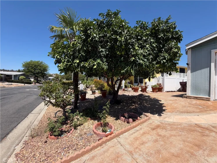 38078 Calle De Amor photo 42