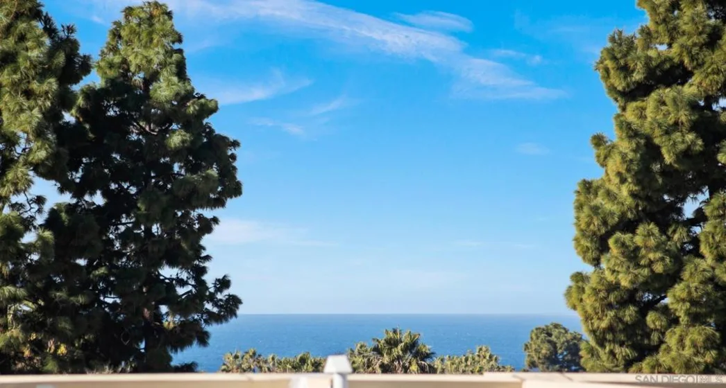 2420 Torrey Pines #A303 photo 1