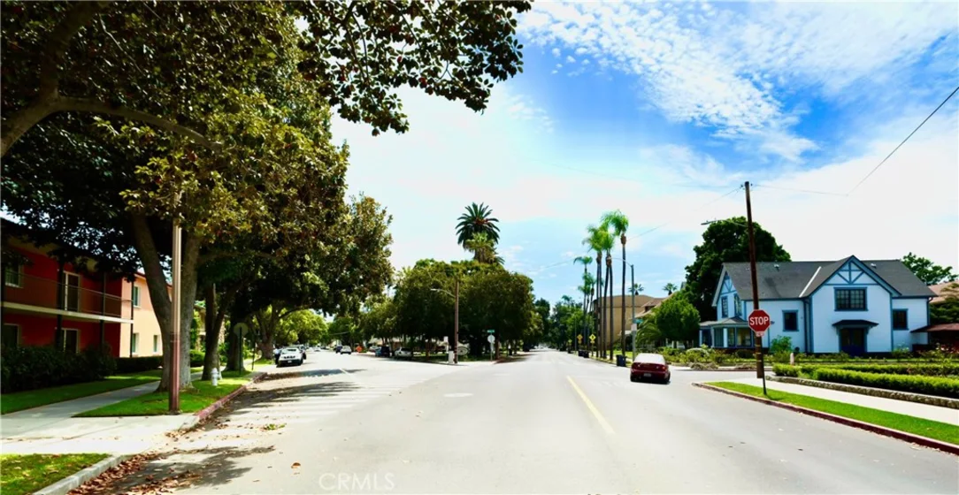 1001 French photo 2