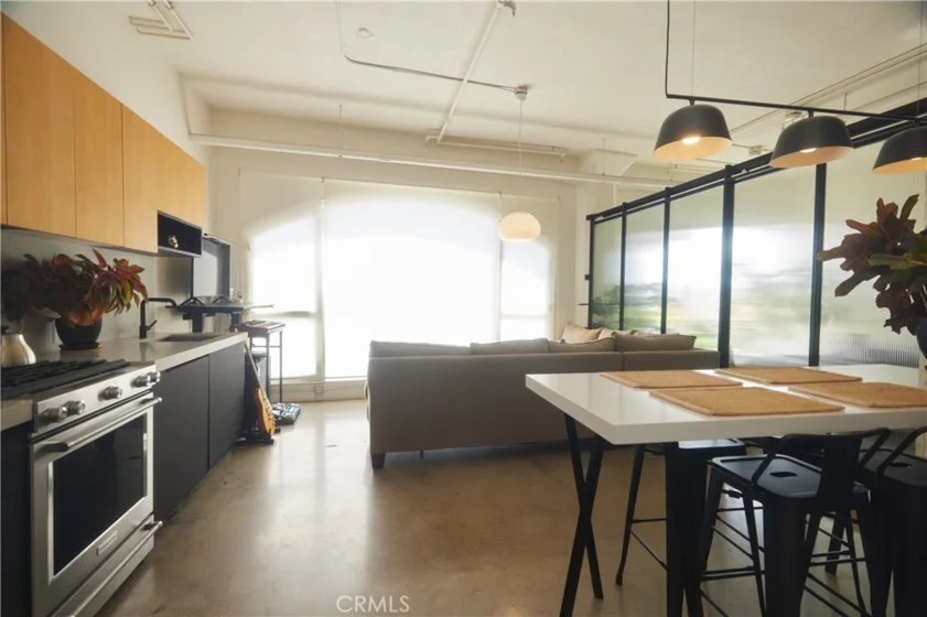 315 E 8th Street #205 photo 6