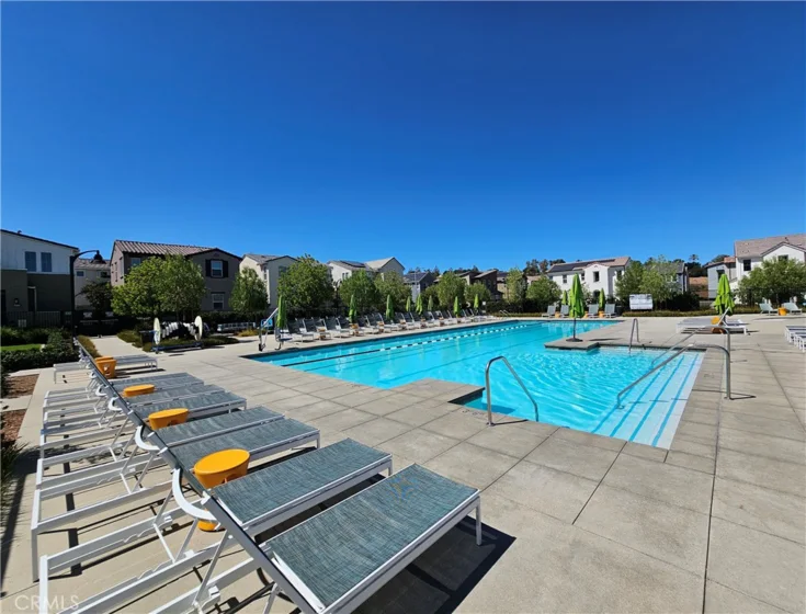 3948 Lavine Way #101 photo 30