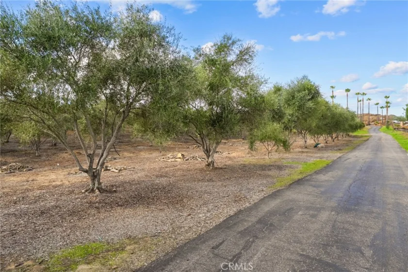 41309 Avenida Biona photo 37