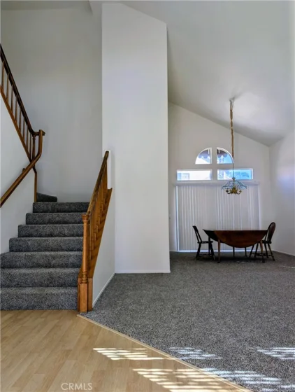 24054 Bearskin photo 3