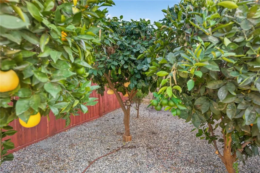 30392 Terrain photo 52