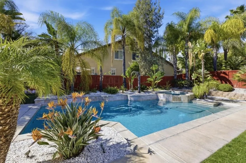 36849 Wax Myrtle Photo
