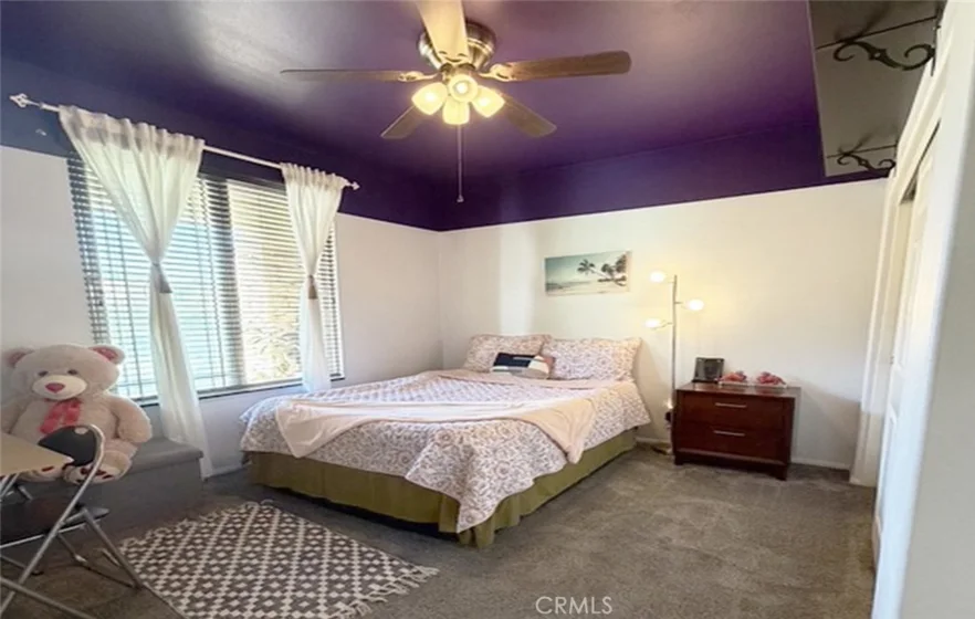 31242 Black Maple photo 3