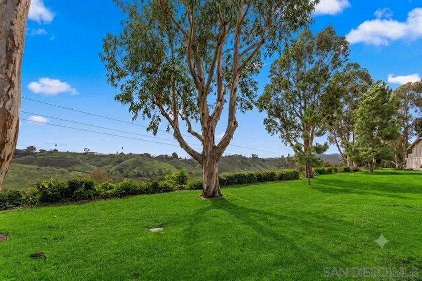 7802 Camino Raposa photo 21