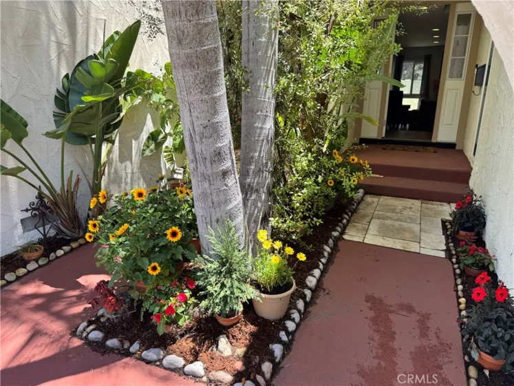 30724 Calle Resplendor photo 4