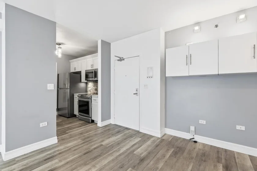 425 W Beech Street #336 photo 23