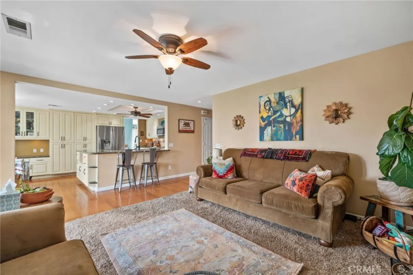 25401 Lacebark photo 25
