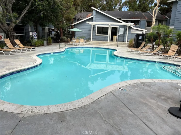 25611 Quail Run photo 11