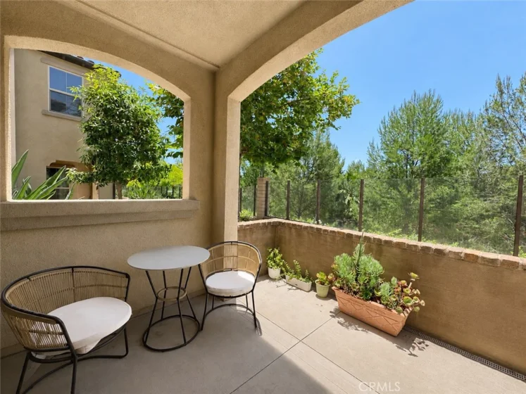 46 Finch photo 2