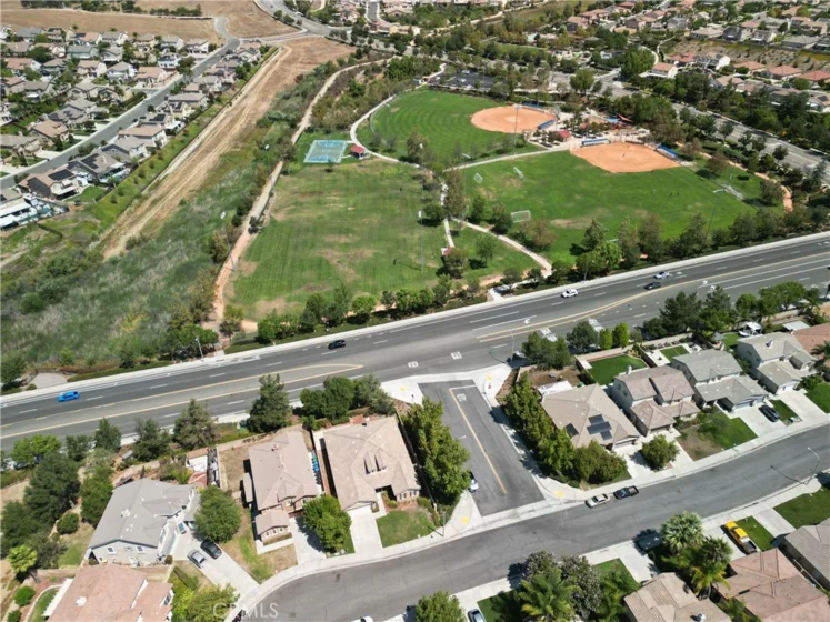 30580 Fox Sedge photo 35