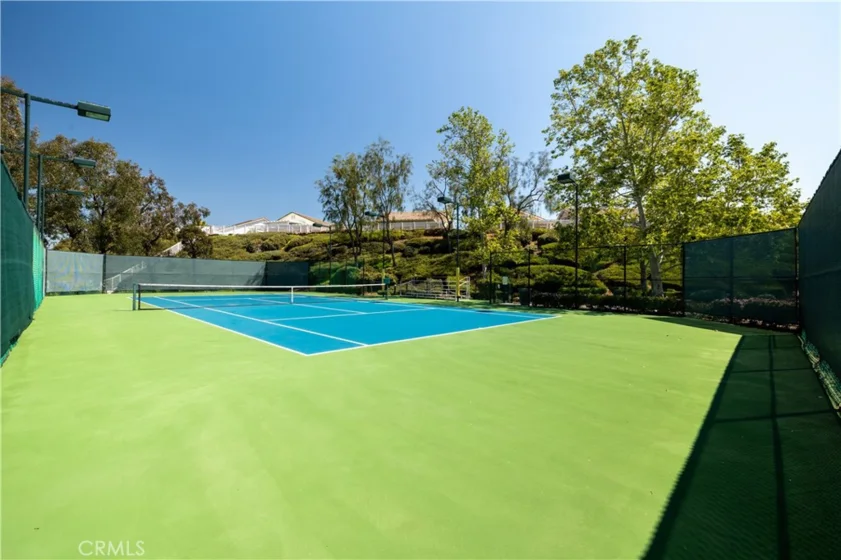 30321 Mayacamas Drive photo 46