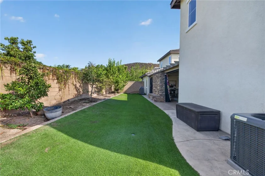 27390 Bent Grass photo 64