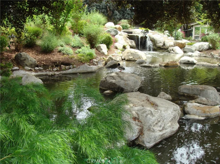 194 Streamwood photo 8