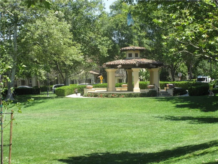 65 Figtree photo 44