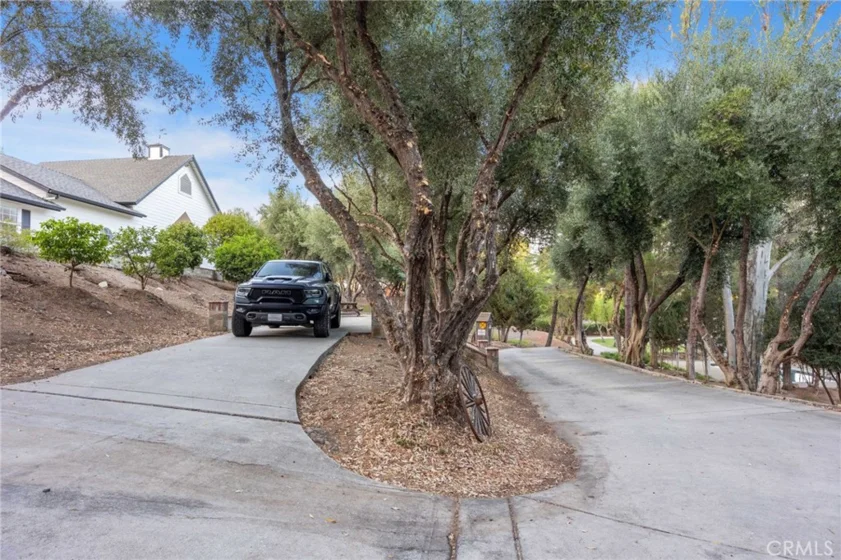 42761 Juniper photo 51