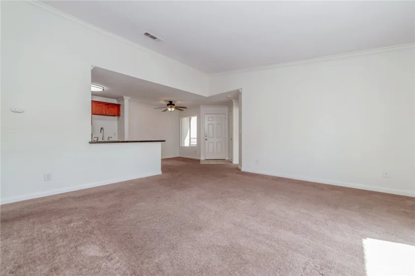 1027 Vista Del Cerro Drive #204 photo 12