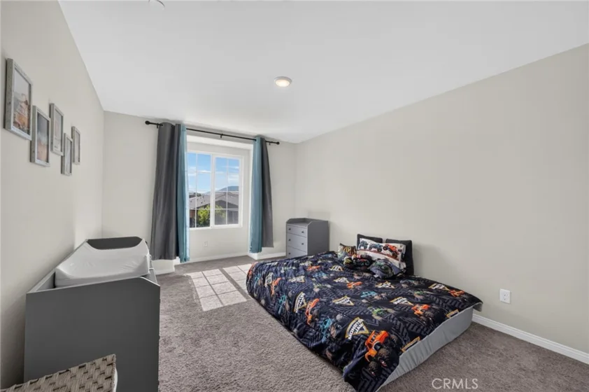 34185 Chenille Street photo 16