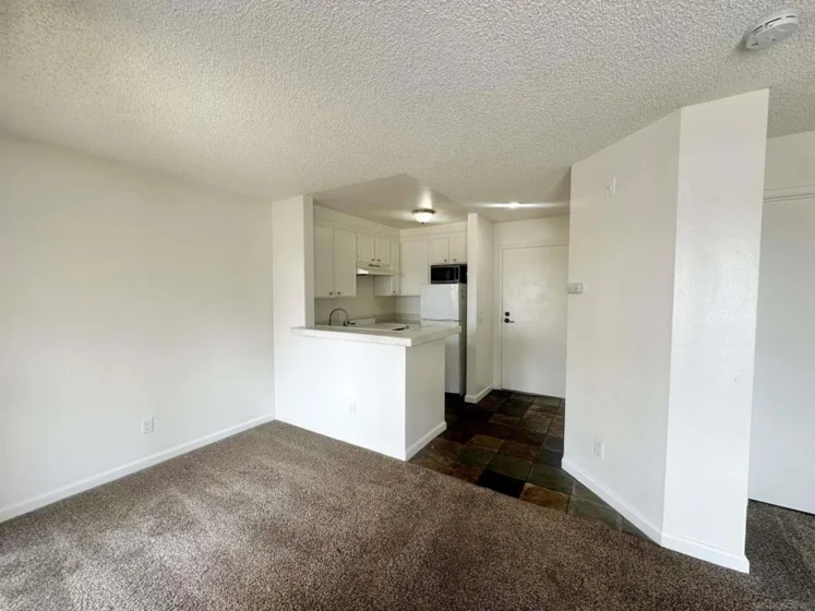 3950 Cleveland #208 photo 5