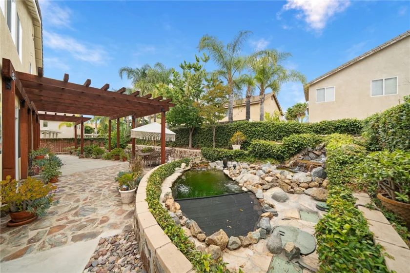 26352 Palm Tree photo 59