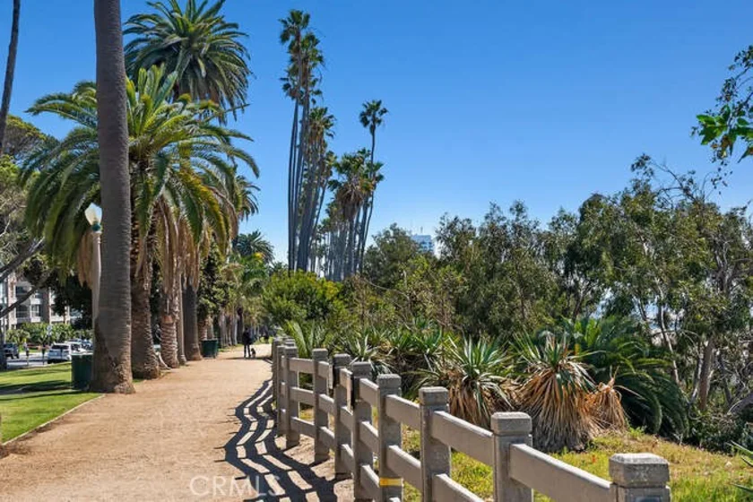 515 San Vicente #D photo 14