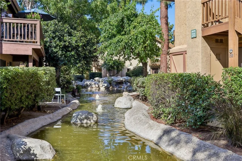288 Tangelo photo 29