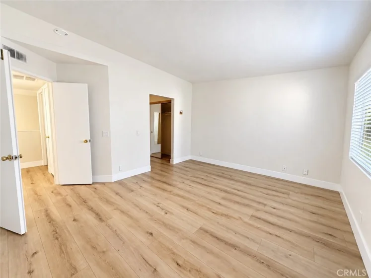 21156 Gladiolos photo 12