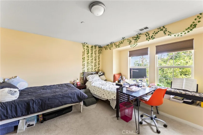 1123 Abelia photo 16