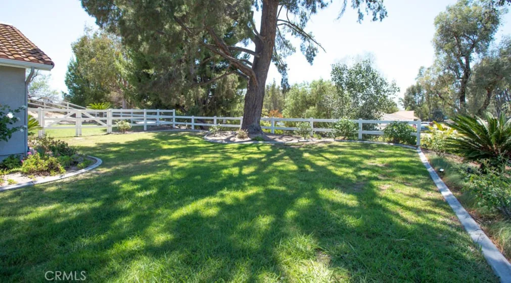 31201 Avenida Del Reposo photo 12