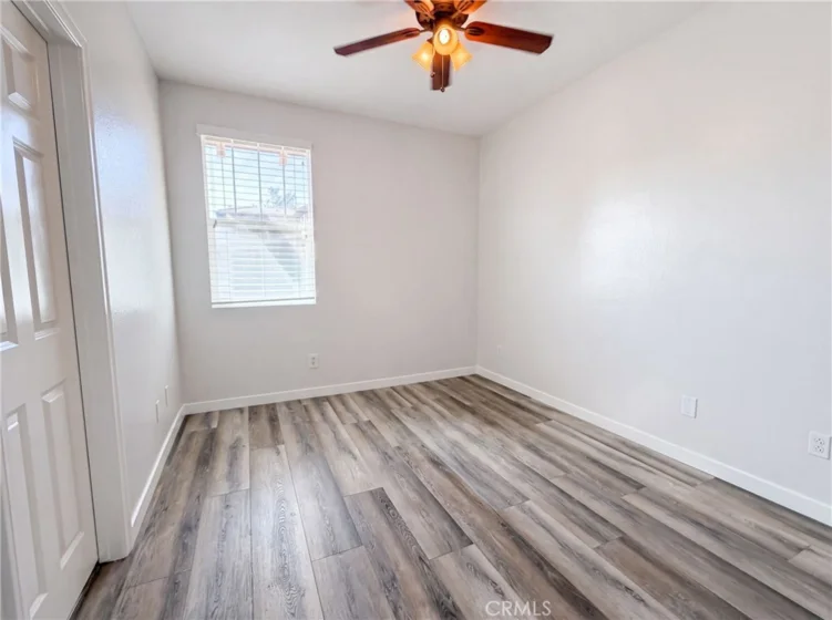 41534 King Palm photo 20