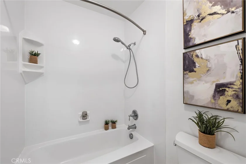 26907 Begonia photo 34