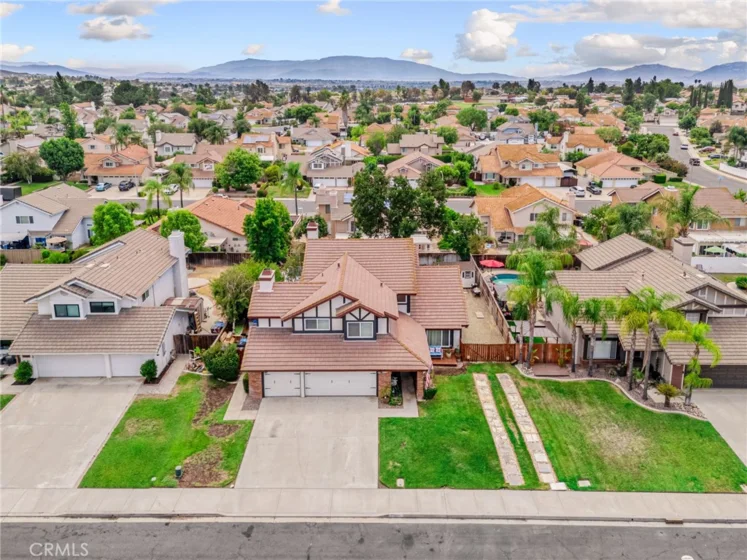 25401 Lacebark photo 49