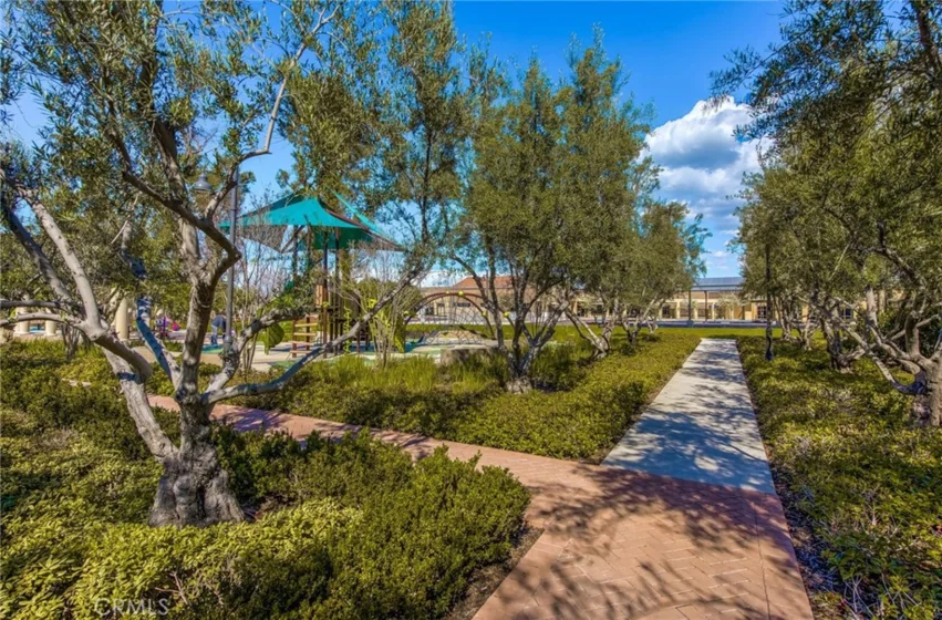 111 Tallowood photo 44