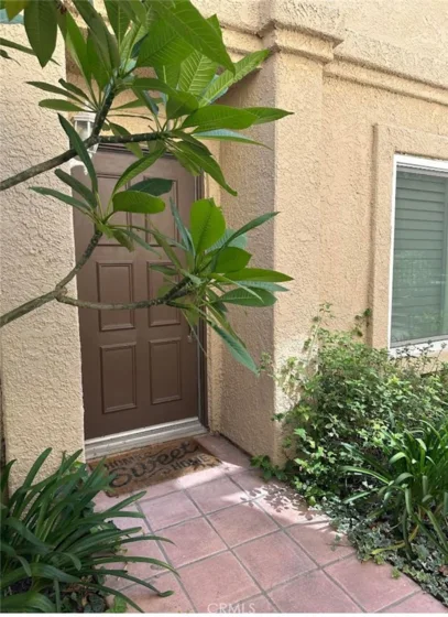 21162 Gladiolos photo 2