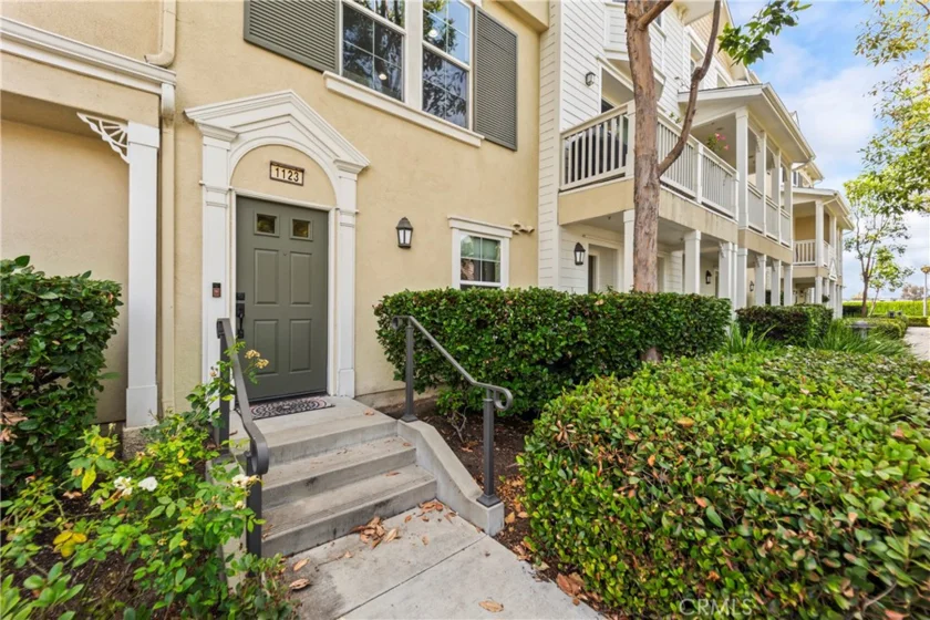 1123 Abelia photo 20