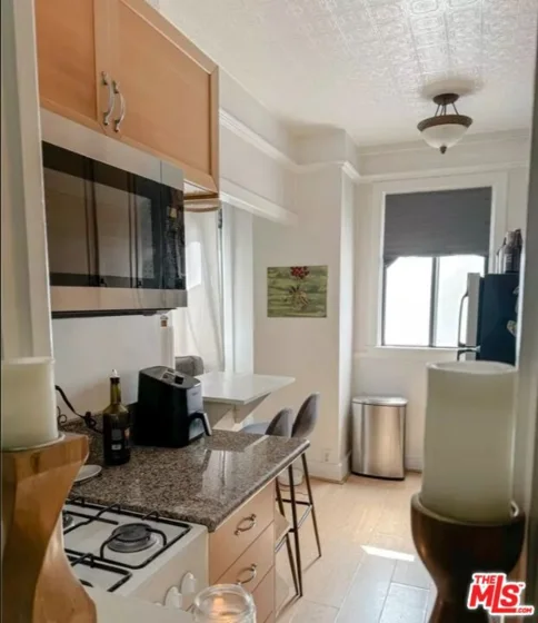 315 W 3rd Street #203 photo 10