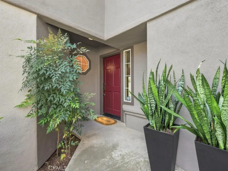 26229 Solrio photo 7