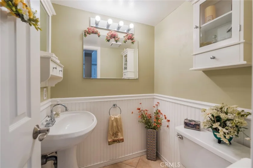 38 Carnation photo 14
