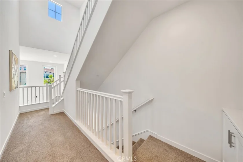 182 Finch photo 18
