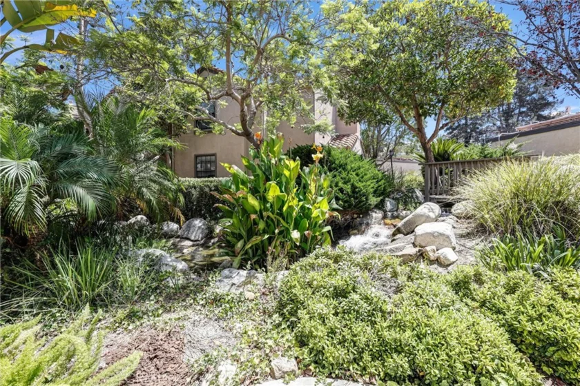 1042 Calle Del Cerro #203 photo 17