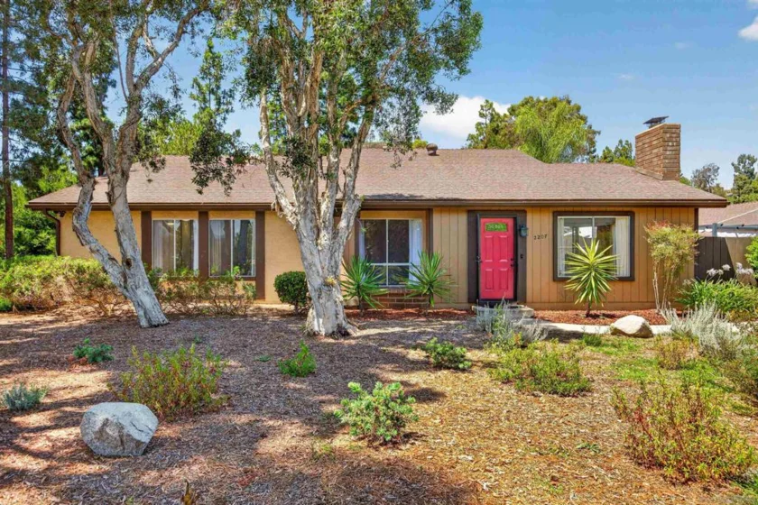 2207 Arborvitae photo 1