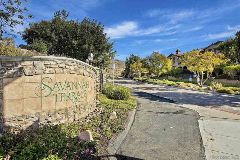 10867 Serafina Lane #37 photo 47