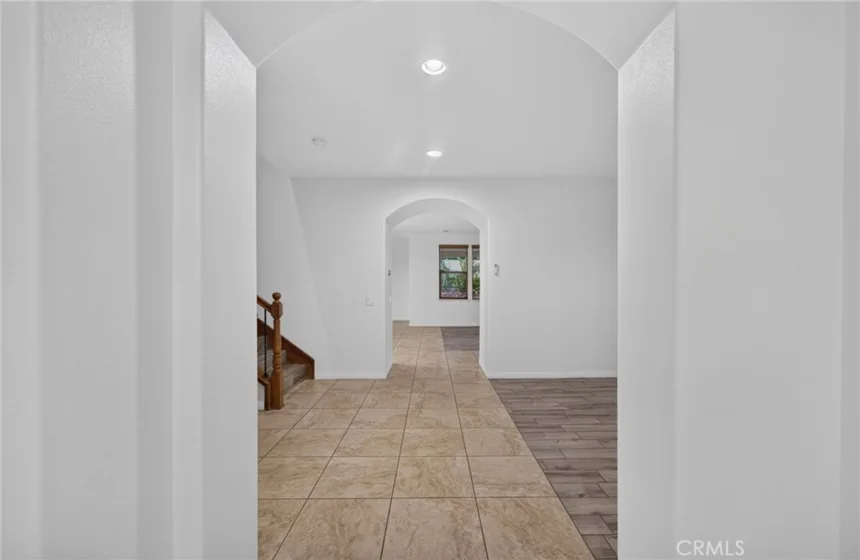 30780 Olympia Rose photo 7