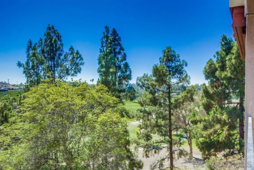 7838 Cowles Mountain Court #C32 photo 16