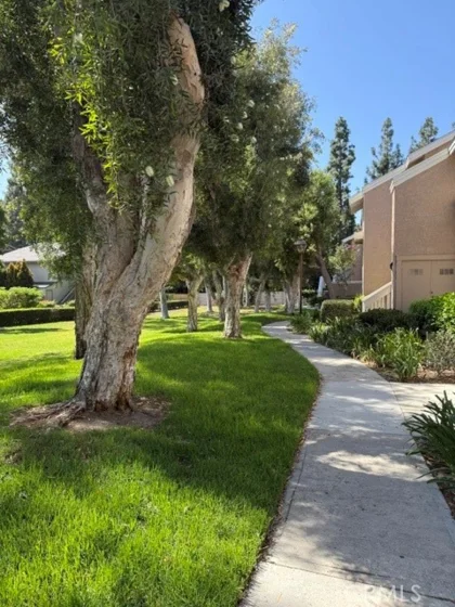 74 Woodleaf photo 21