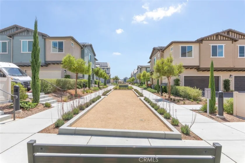 39438 Corvina photo 25